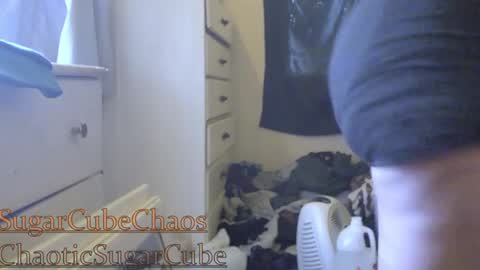 Snapshot of chaoticsugarcube chatting on January 2, 11:38 pm chaoticsugarcube online show from January 2, 11:38 pm