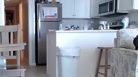 Snapshot of charleyandsmokie chatting on October 31, 5:58 pm charleyandsmokie online show from October 31, 5:58 pm