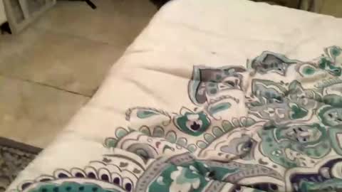 Snapshot of charliebroun chatting on February 18, 6:15 am charliebroun online show from February 18, 6:15 am