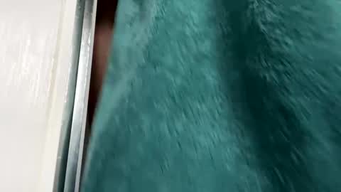 Snapshot of charlieg123 chatting on November 29, 8:50 am Gary online show from November 29, 8:50 am