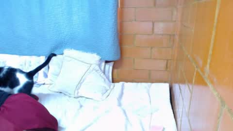 Charlotte online show from April 30, 2:01 pm