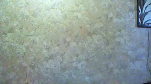 Snapshot of charming__seili chatting on February 15, 5:41 am Charming Seili online show from February 15, 5:41 am