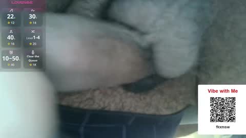 Snapshot of chefjason52 chatting on December 17, 5:19 pm Fun With Daddys Dick Fantacy Room online show from December 17, 5:19 pm