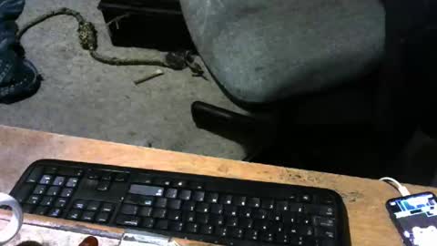 chefy online show from November 9, 1:09 pm