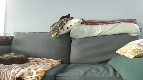 Chelsea online show from December 27, 7:35 pm