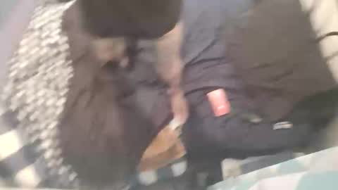 Snapshot of chev1981 chatting on October 15, 11:21 am Chevy online show from October 15, 11:21 am