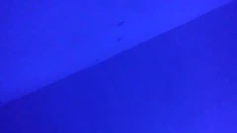 chi579822 online show from April 23, 9:19 am