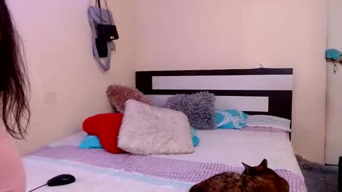 Snapshot of chikandela chatting on November 26, 8:43 pm Valentina online show from November 26, 8:43 pm