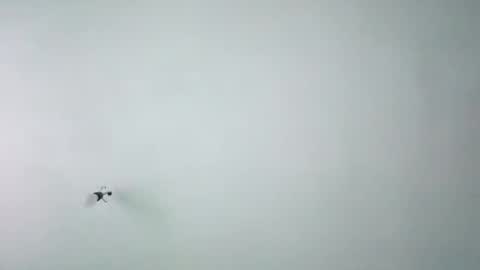 Snapshot of chispahot69 chatting on November 26, 7:53 am chispahot69 online show from November 26, 7:53 am