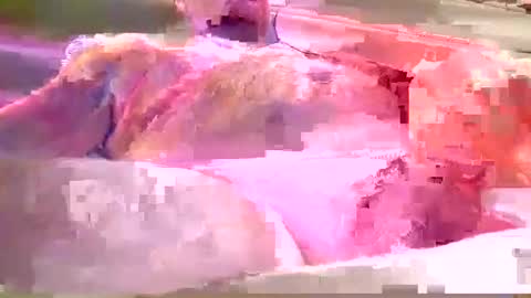 Snapshot of chummy50222 chatting on December 8, 4:14 am chummy50222 online show from December 8, 4:14 am