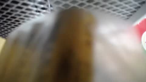 487699 online show from November 27, 3:08 am