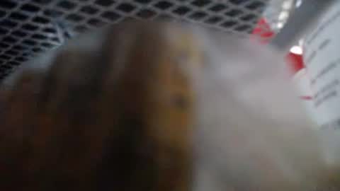 487699 online show from January 14, 9:15 am