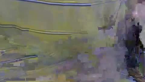 Snapshot of cockreadynow4u chatting on October 22, 5:08 am cockreadynow4u online show from October 22, 5:08 am