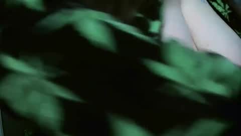 Snapshot of codieraye chatting on December 29, 8:26 pm TheGoddessCodie online show from December 29, 8:26 pm