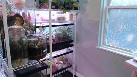 Snapshot of constantcumquest chatting on November 9, 5:22 pm ANR Mommy online show from November 9, 5:22 pm