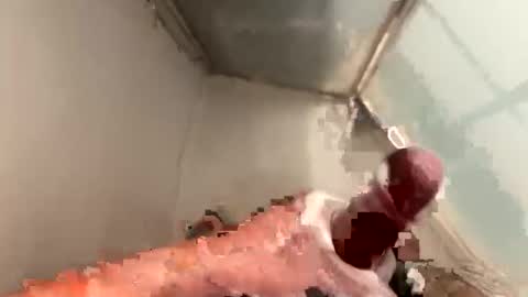 cookie_monster8593 online show from April 20, 9:49 pm