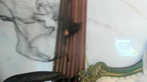 Snapshot of coraliebronson chatting on October 28, 8:44 pm Coralie Bronson online show from October 28, 8:44 pm