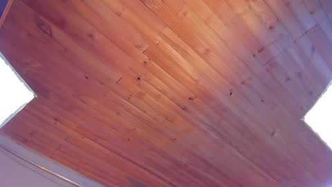 Coraline online show from January 25, 12:27 am