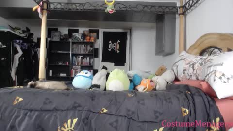 Snapshot of costumemenagerie chatting on October 13, 8:31 pm Amethyst Cox online show from October 13, 8:31 pm