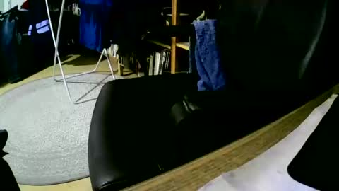 Snapshot of coyote017 chatting on February 1, 6:00 am coyote017 online show from February 1, 6:00 am