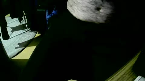 Snapshot of coyote017 chatting on October 22, 6:18 pm coyote017 online show from October 22, 6:18 pm