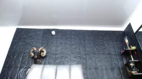 Hanna  online show from April 21, 8:53 am