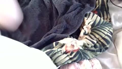 Snapshot of crucifux69 chatting on January 30, 8:31 pm Crucifux online show from January 30, 8:31 pm