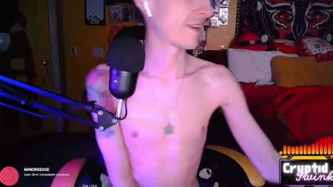 CryptidTwink online show from April 3, 6:22 am