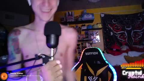 CryptidTwink online show from April 10, 6:18 am