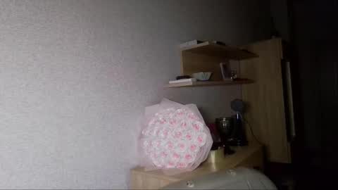 Snapshot of crystallkris chatting on December 10, 12:28 am Kristina online show from December 10, 12:28 am