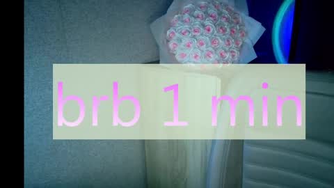 Snapshot of crystallkris chatting on January 2, 12:13 am Kristina online show from January 2, 12:13 am