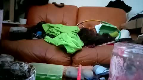 Snapshot of crystelweed chatting on November 9, 8:56 am crystelweed online show from November 9, 8:56 am