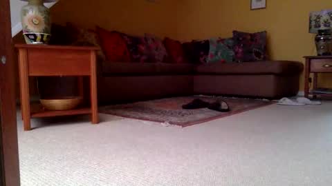 Snapshot of cumonherguys chatting on November 6, 8:04 am cumonherguys online show from November 6, 8:04 am