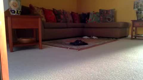 Snapshot of cumonherguys chatting on November 8, 8:36 am cumonherguys online show from November 8, 8:36 am