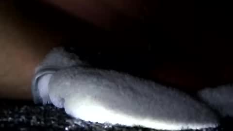 Snapshot of cumsinmealot chatting on January 14, 11:10 am Aprilia online show from January 14, 11:10 am