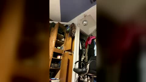 Snapshot of cumsinmealot chatting on February 2, 9:35 pm Aprilia online show from February 2, 9:35 pm