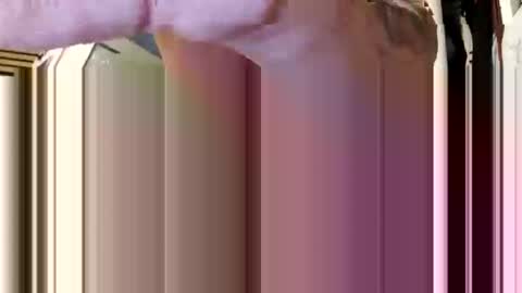 Snapshot of cumsinmealot chatting on February 5, 8:41 am Aprilia online show from February 5, 8:41 am