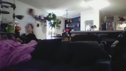 CuriousCouple303 online show from January 11, 4:25 pm