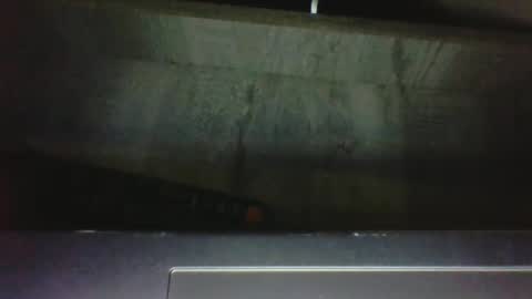 CuriousCouple303 online show from September 26, 1:31 am