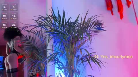 Snapshot of curlyrose_ chatting on November 22, 10:20 pm Rose online show from November 22, 10:20 pm
