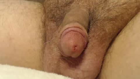 Snapshot of curve66 chatting on October 16, 12:55 am curve66 online show from October 16, 12:55 am