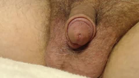 Snapshot of curve66 chatting on October 22, 1:06 am curve66 online show from October 22, 1:06 am