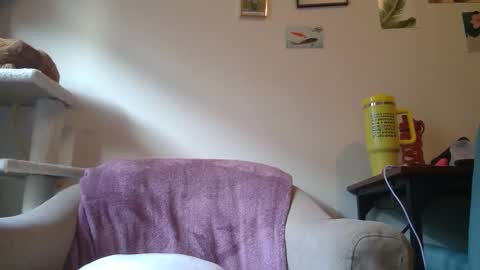 Snapshot of curvycate127 chatting on January 21, 9:25 pm Cate online show from January 21, 9:25 pm