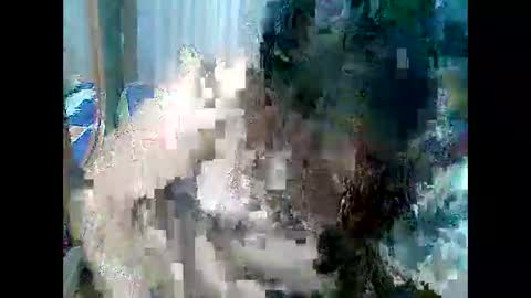 cutechubbyasian online show from April 26, 11:30 am