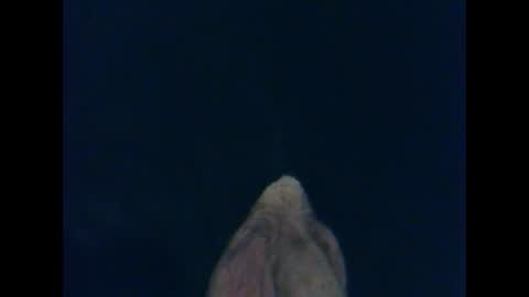 Snapshot of cutieguy86 chatting on October 26, 1:33 am CutieBoy online show from October 26, 1:33 am