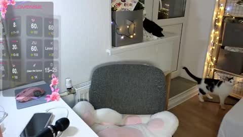 Alice  online show from December 5, 2:11 pm