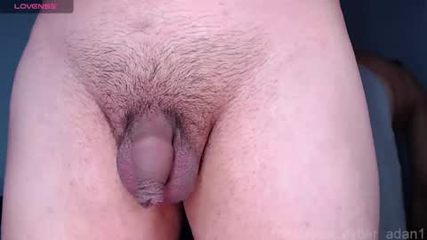 cyber online show from January 16, 1:58 pm