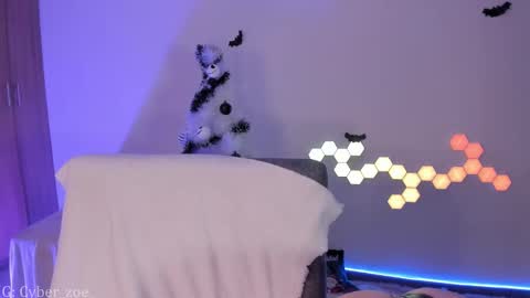 Snapshot of cyberzoe chatting on December 2, 6:25 pm cyber zoe online show from December 2, 6:25 pm