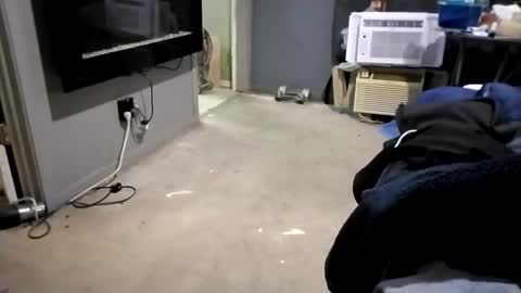 da941987 online show from December 2, 5:48 am