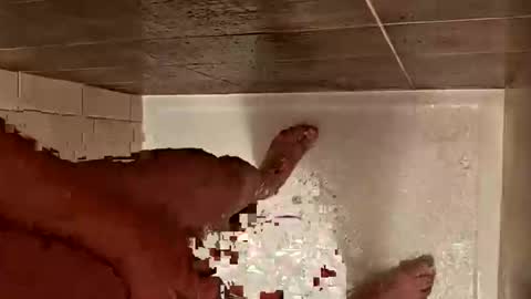 Snapshot of daddycoolm chatting on October 29, 7:10 am LetsHaveFunTogether online show from October 29, 7:10 am